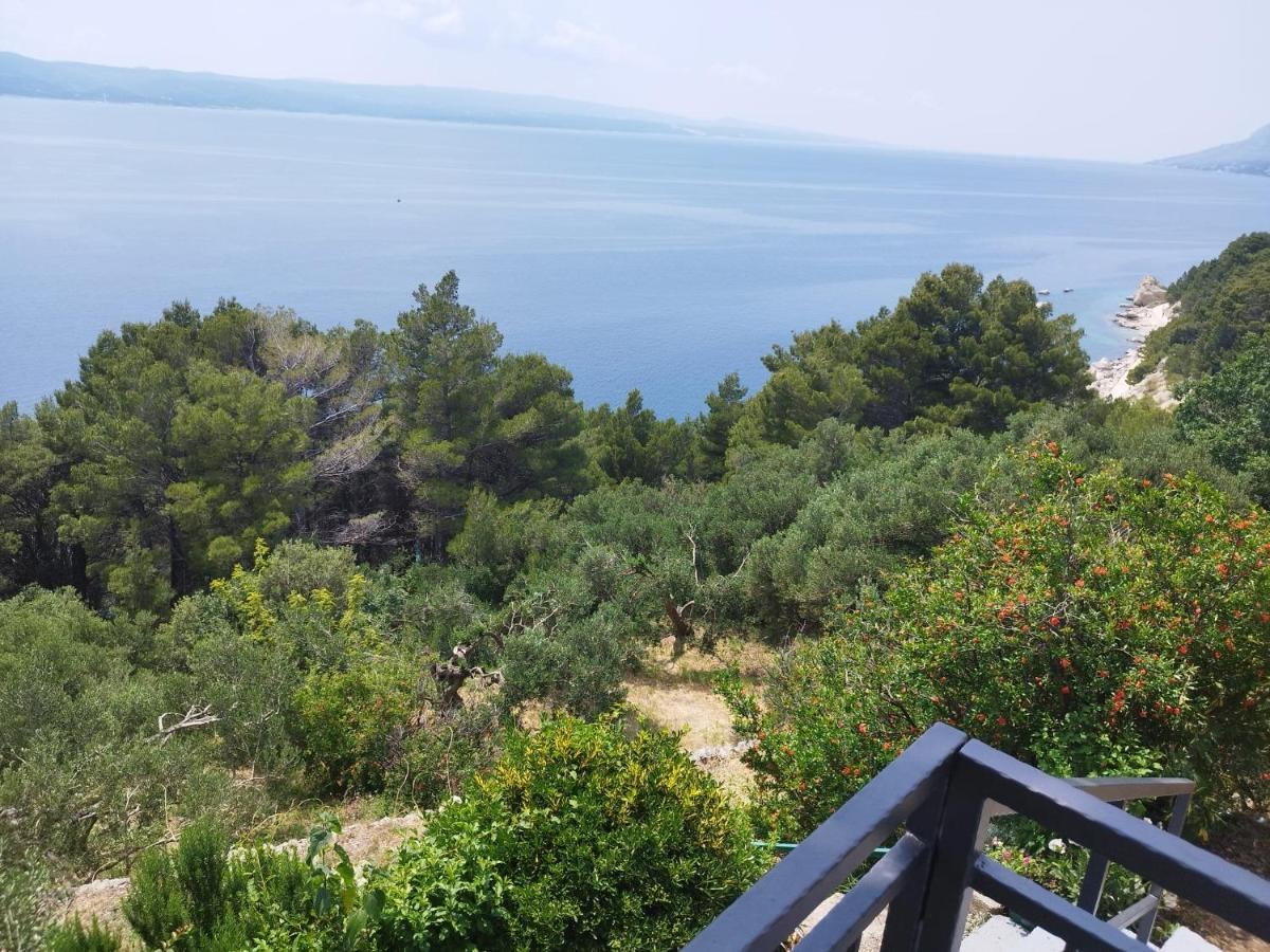 ברלה Apartments Mare - 150 M From Beach מראה חיצוני תמונה